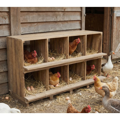 Chicken Coop