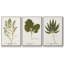 Ensemble de 3 pièces botaniques encadrées sur toile Nature-97709033-97709030