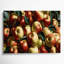 Fruit Apple Fuji Brown Canvas Wall Art-374257948
