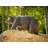 Benafield Bear Weather Resistant Metal Garden Statue