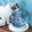 Pet Fountain