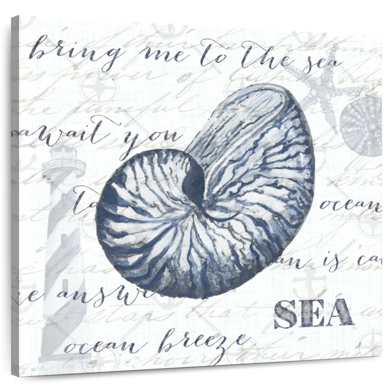 Brampt Indigo Shell II