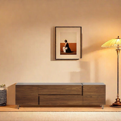 Modern style minimalist living room TV stand