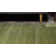 Tapis vert Sahori
