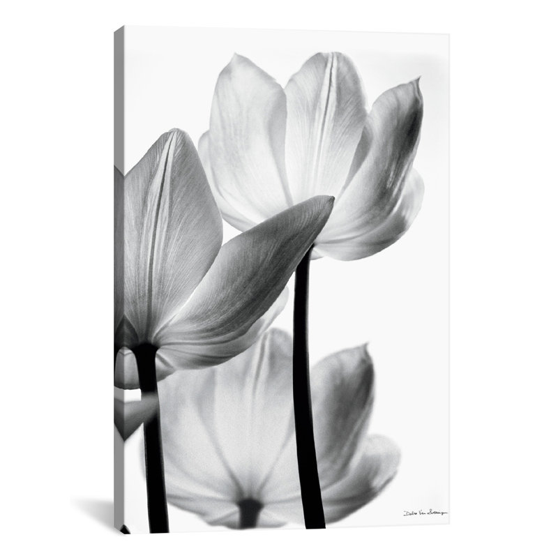 « translucide tulipes iii », impression, Toile, H 12 po x l 8 po x P 0,75 po