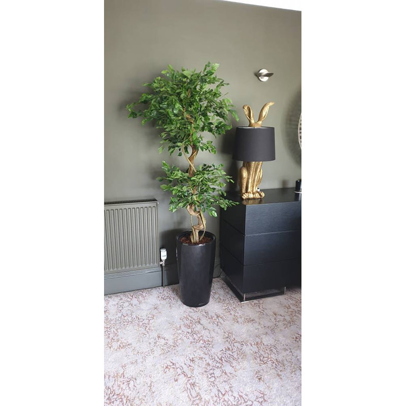 Faux Ficus Tree, Black, 120cm H x 20cm W x 20cm D