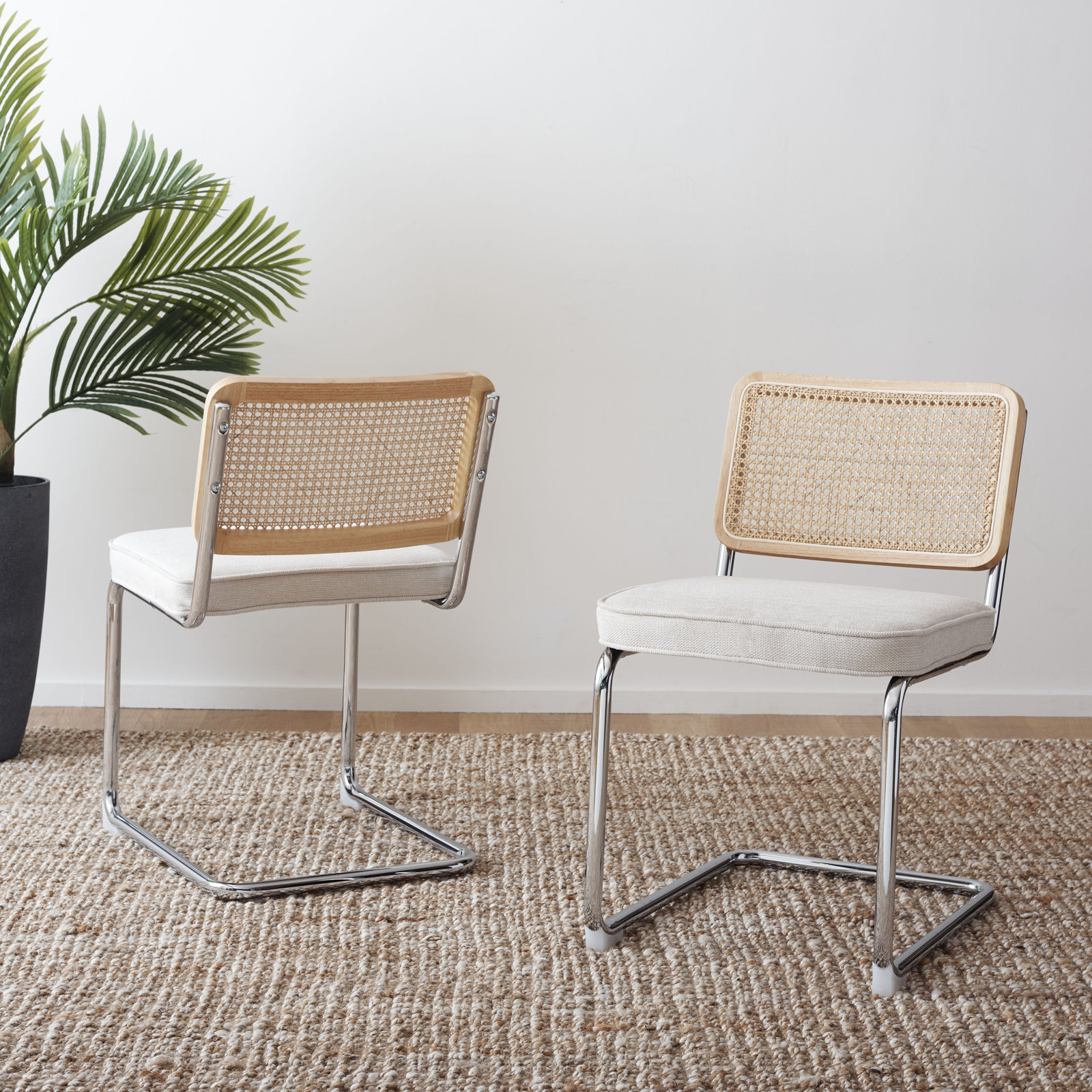 Coralia Dining Chair, Cream