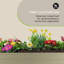 Metal Raised Garden Bed-33400131