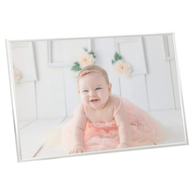 Mickie Picture Frame - Set of 5, Silver, 27.56cm H x 35.43cm W x 0.2cm D