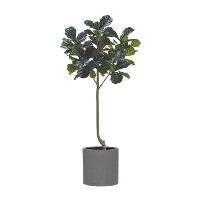 7' Fiddle Leaf Tree with Fiberstone Planter