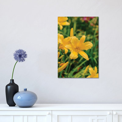 Daylily Garden IV par Bethany Young - Estampe numérique sur toile tendue avec châssis