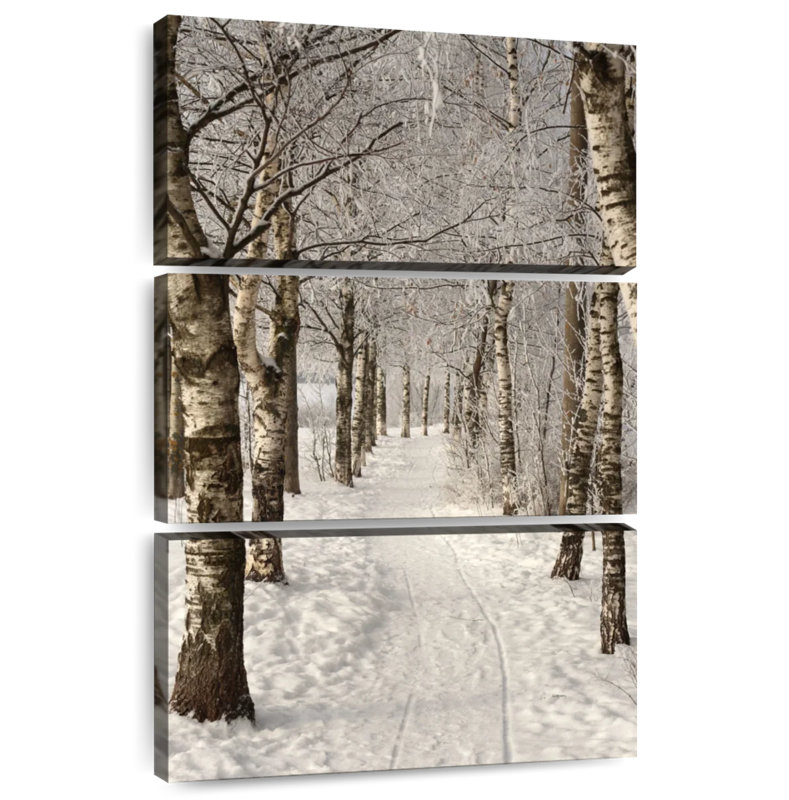 Alvord Birch Tree Lane, H 38 po x l 24 po