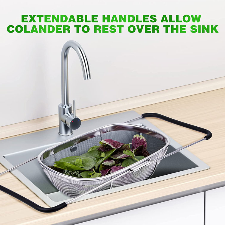 https://assets.wfcdn.com/im/89132051/resize-h755-w755%5Ecompr-r85/2288/228857518/ColorLife+Stainless+Steel+Over+The+Sink+Strainer.jpg