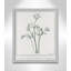 Parsley II by Albert Koetsier-88318114-88318115