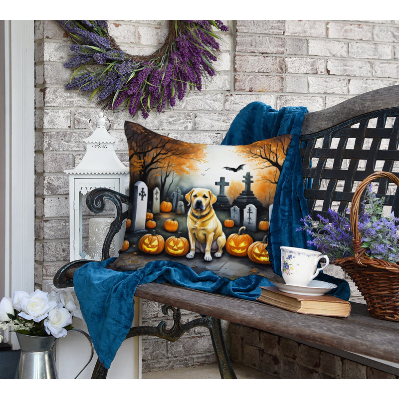 Other/No Pattern Outdoor Throw Pillow, 18" x 18"