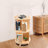 Debralyn 2- Tier 360° Rotating Bookshelf Bookcase Storage Shelf