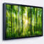 «Forest with Rays of Sun Panorama», photographie-1213741114-1272526501