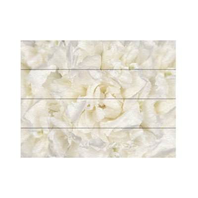 Fleur de pivoine blanche par Cora Niele - reproduction sur bois sans cadre