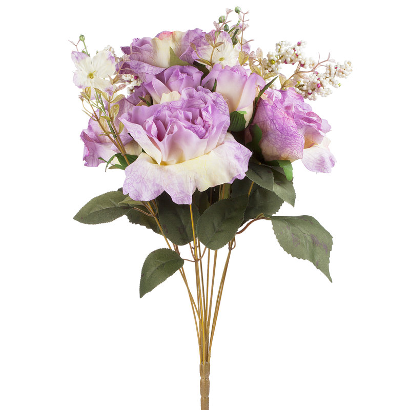 Rosier, Mauve