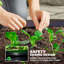 Planter-1737467068