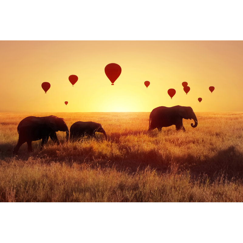 African Elephants by Delbars - Wrapped Canvas Print, 30cm H x 46cm W
