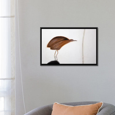 «Bittern», reproduction d'art sur toile tendue