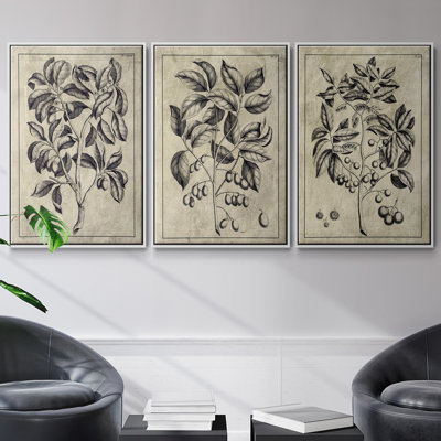 Ensemble de 3 pièces encadrées sur toile embellies Antique Foliage I