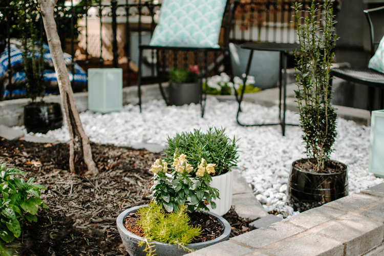 Container Garden Hero