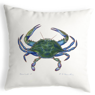 Outdoor Reversible Throw Pillow