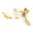 Polished Brass