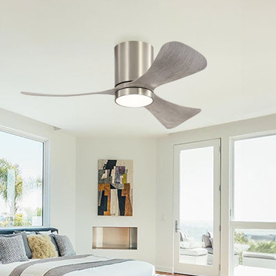 Apolino 42'' Ceiling Fan with LED Lights