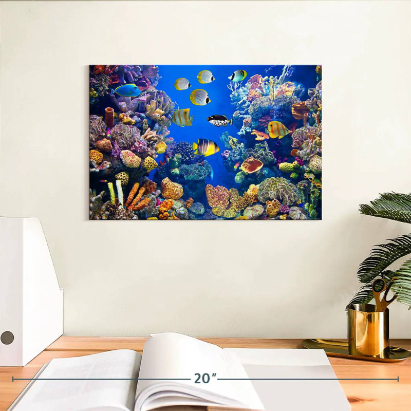 Teeming underwater life Aletra, H 8 po x l 12 po