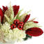 Arrangement floral en pot Johane Hydrangea