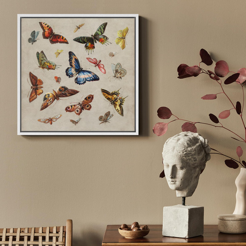 «Vintage Vibrant Butterfly Wilderness Illustration Rustic French Country», Blanc, H 16 po x l 16 po