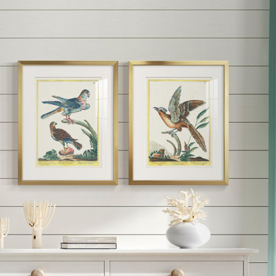 Oiseaux pastel III - Reproduction d'histoire naturelle, encadrée sous verre acrylique, lot de 2, décoration murale pour bureau ou salon.