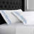 Canberra Floral Sheet Set-80822264-80822263