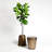 Izmir End Table-24451235