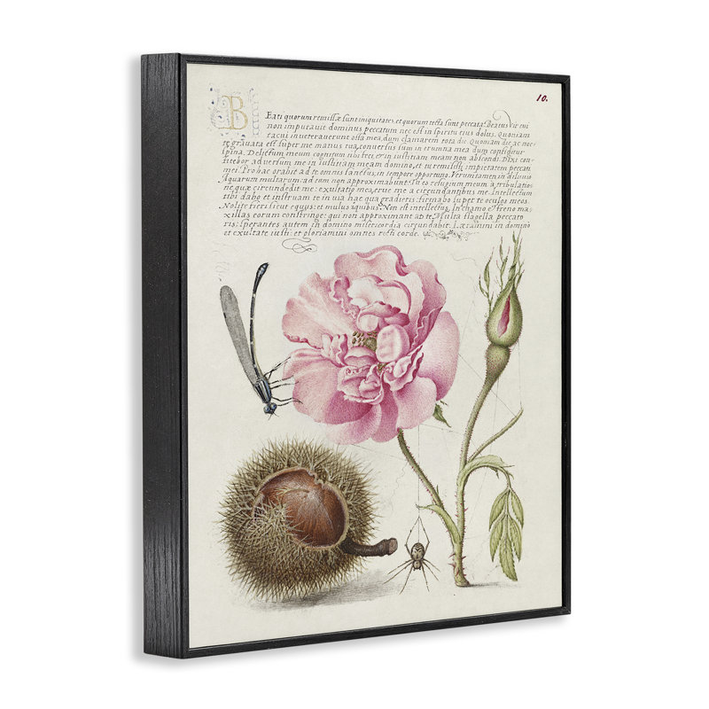 Art antique par estampe numérique par Joris Hoefnagel, Giclée encadrée noir minuit, H 30 po x l 24 po