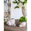Jardinière décorative texturée beige sable et ciment 8,3 po x 7 po x 4,7 po pour décoration bohémienne avec plantes grasses-130115751