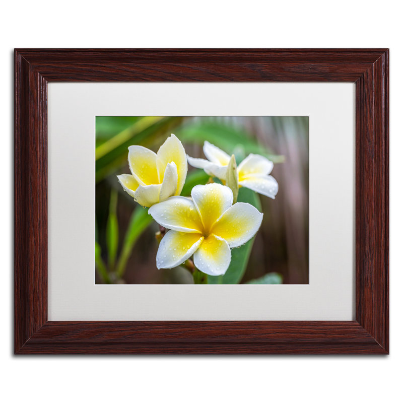 Plumeria in the Rain Acrylic Painting with Brown Frame