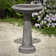 The Essential Birdbath