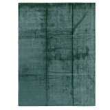 Hand Knotted Area Rug in Light Green
