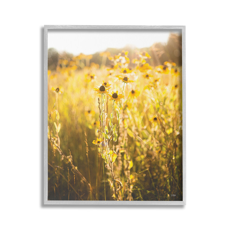 «Sunlit Daisy Meadow», art de la giclée encadrée par Donnie Quillen, Estampe numérique Farmhouse, H 20 po x l 16 po