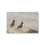 Reproduction d'art Atlantic Puffin pair par Nathan Larson-131109370-131109379-131109381