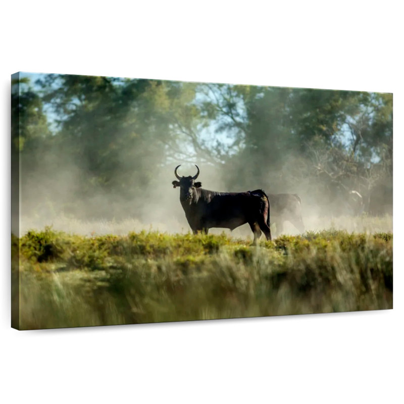 Bull In The Mist, 8" H x 12" W