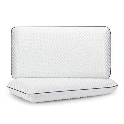 Wayfair Sleep Medium Memory Foam Pillow