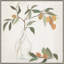 Muted Fruit Vase 3 Print
