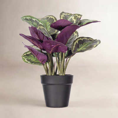 16.1'' Faux Calathea Plant in Pot
