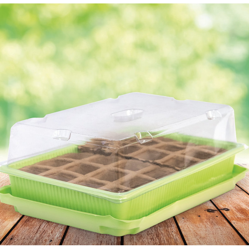 Green House With 24 Cell Paper Pot