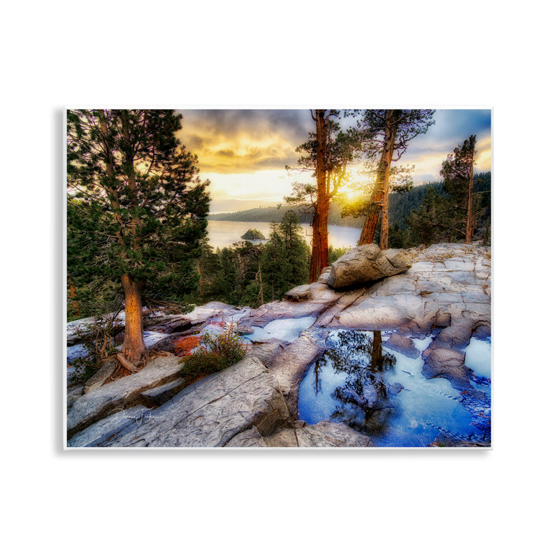 "Forest Cliff Landscape", art mural par Dennis Frates
